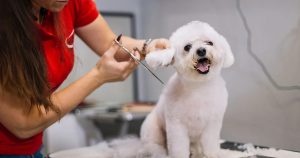 Why Consistency Matters More Than Perfection in Grooming